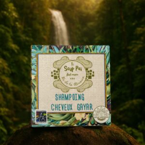 Shampoing solide - Cheveux Gayar